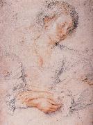 Peter Paul Rubens, The Girl
